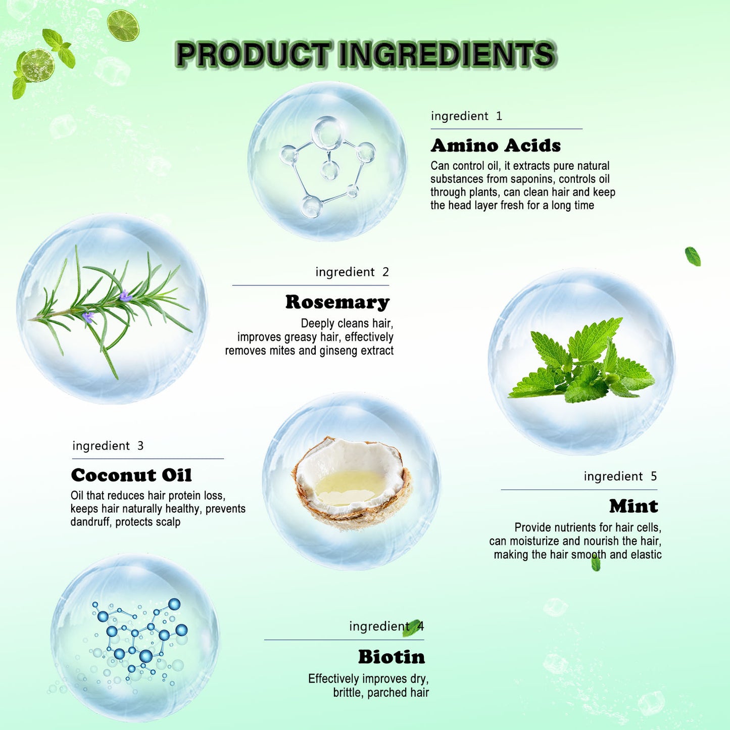 EELHOE Rosemary Mint Shampoo for Dry, Frizzy Hair