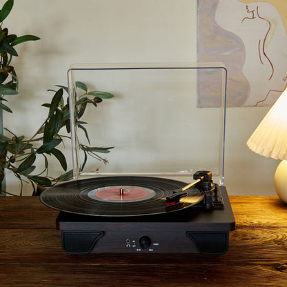T03L Vintage Chinese Turntable with Multi-Function Design