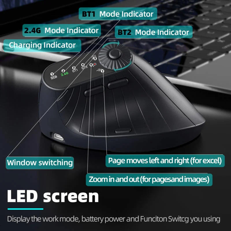 Ergonomic 2.4GHz Wireless BT RGB Mouse